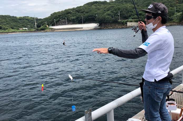 サビキ釣りの画像