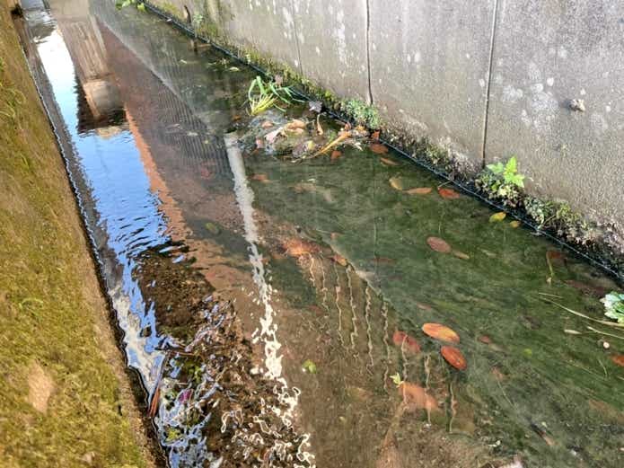 ザリガニ釣りに向いている場所