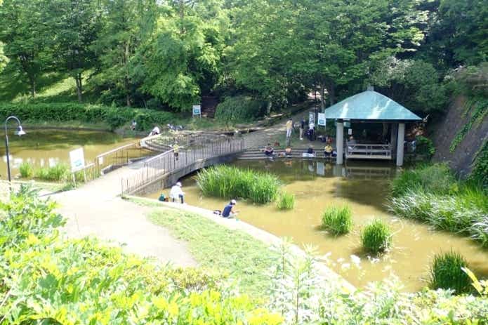 ザリガニの生息場所