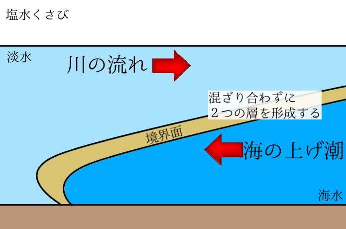 境界面