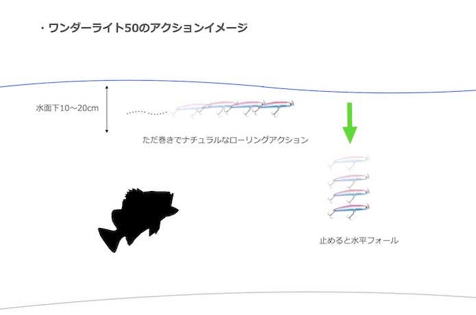 ワンダー50ライトの画像