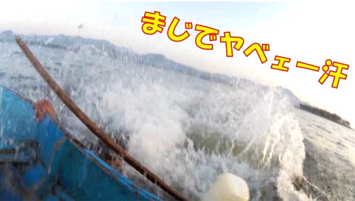 メコンオオナマズ 危険生物