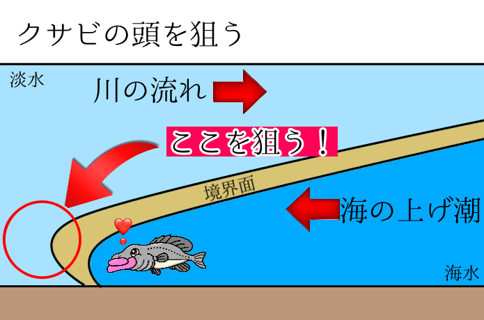 境界面の先端