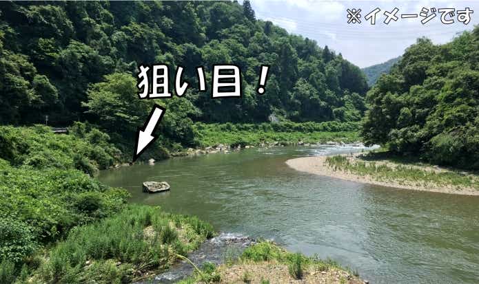 ギギ　ポイント