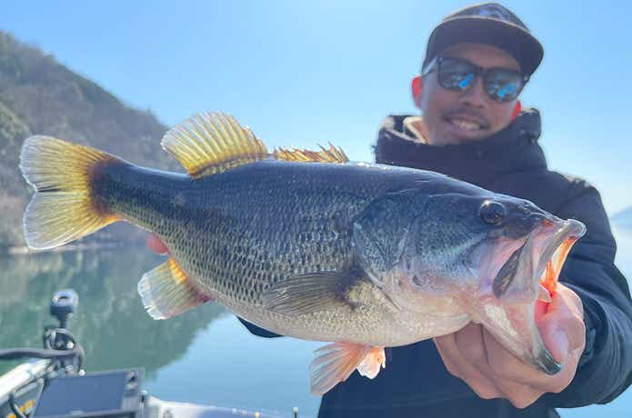 琵琶湖バス釣りレポートVol.3】春本番！スポーニング真っ只中の