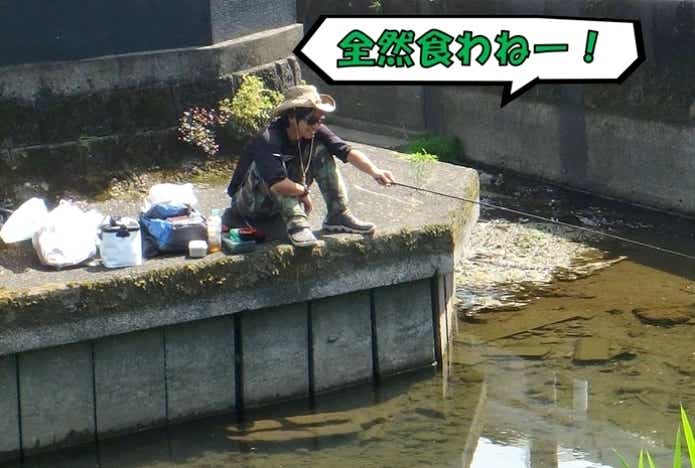 タナゴ釣り
