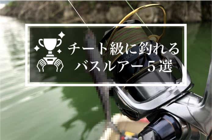 猫じゃらしでブラックバス釣り！！ 印旛沼中央排水路 ホリデー