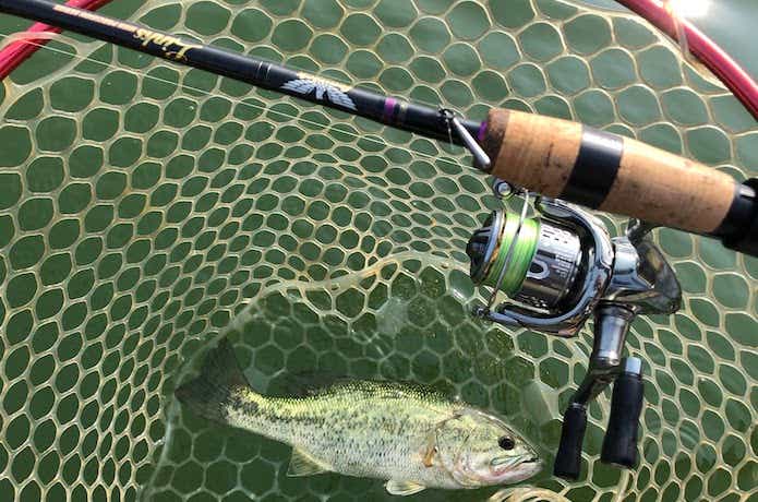 津久井湖 子バスの特徴