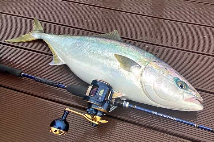 ソルティガICで釣れたブリ