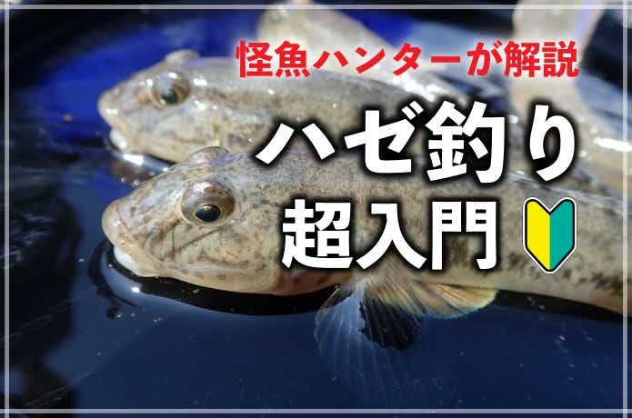 ハゼ釣り“5分でわかる基礎知識”！仕掛け・エサ・釣りやすい時期を解説