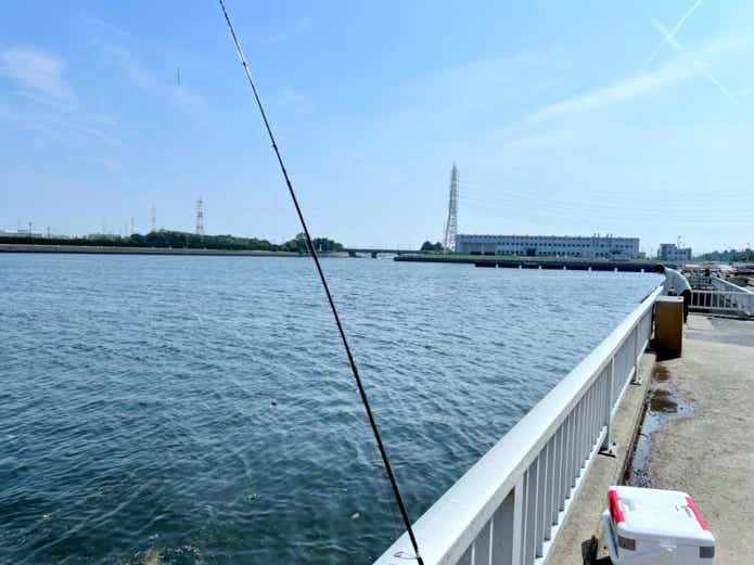 防波堤｜河川の流れ込み近くがおすすめ