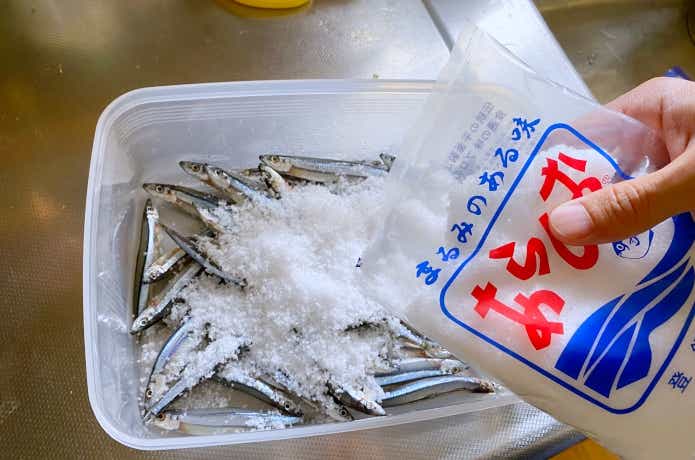 塩締めキビナゴの画像