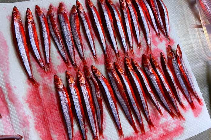 塩締めキビナゴの画像