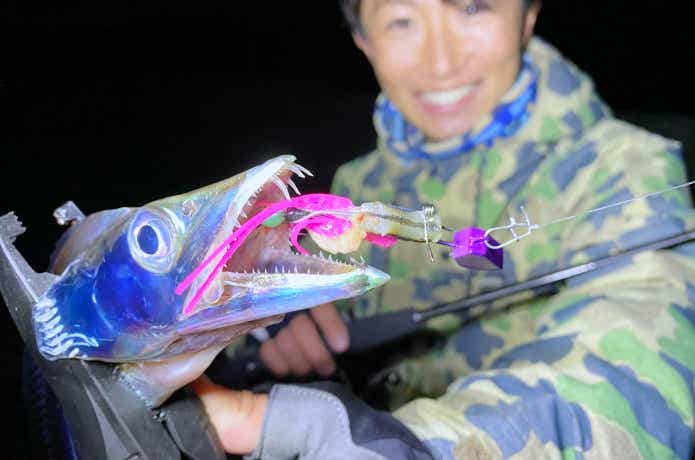 塩締めキビナゴの画像