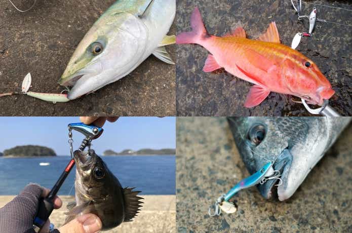 スピンテールジグで釣れた魚