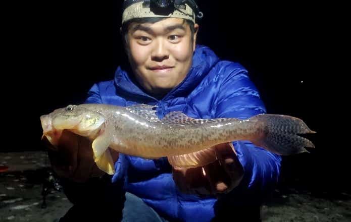 冬に釣れる大型のハゼ