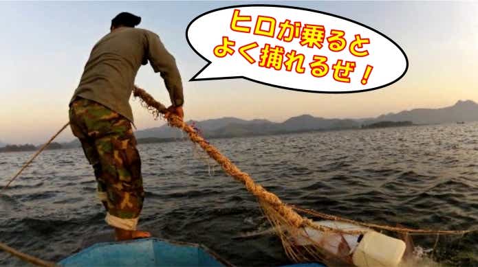 メコンオオナマズ