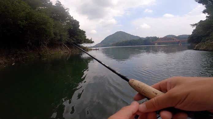 津久井湖 馬渡ワンド