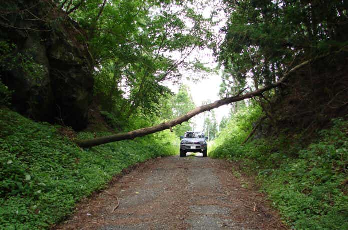 道路