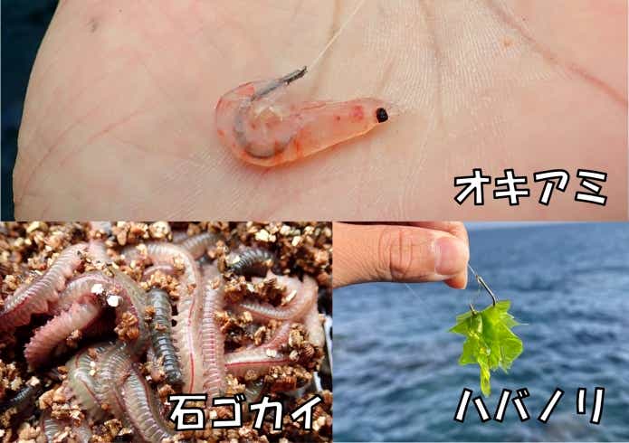 ヌカ切り 付け餌