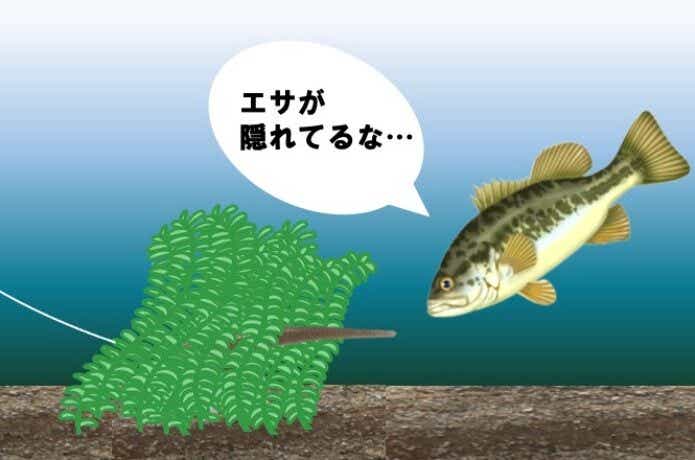 スタッガースティック　ウィード