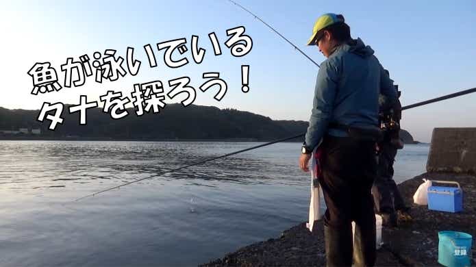 サビキ釣り コツ