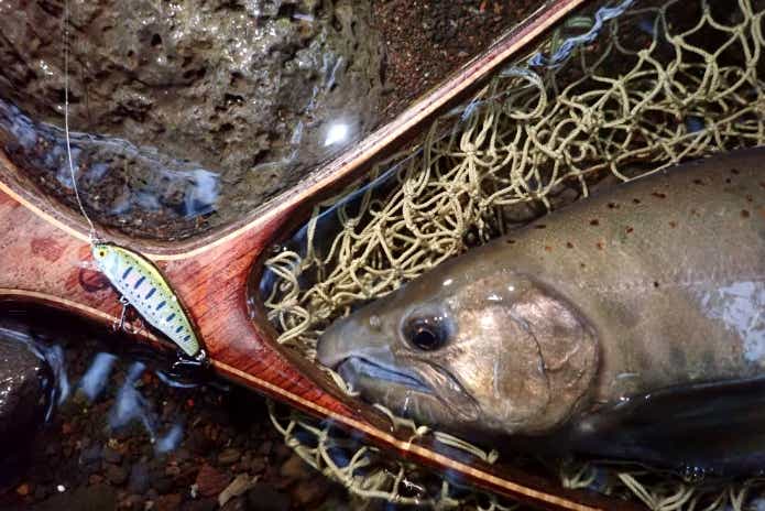 鬼アマゴ　釣れる　ルアー