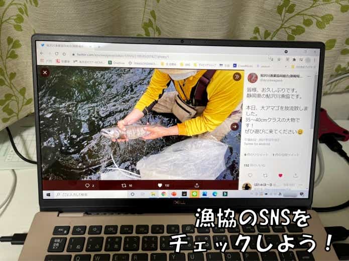 鮎沢川　放流