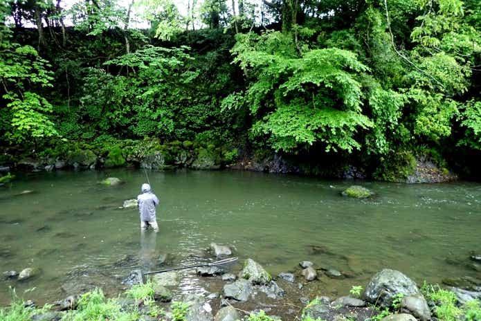 鮎沢川　釣り人