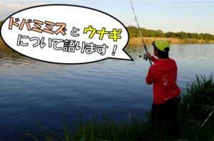 川　ウナギ釣り　最強エサ　ミミズ