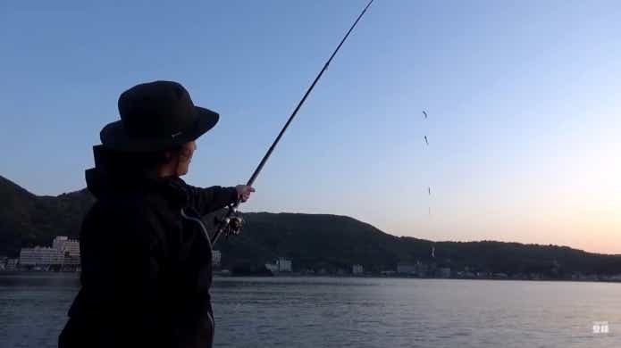 2連サビキ 釣れる