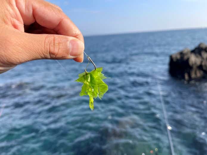 アイゴの食性