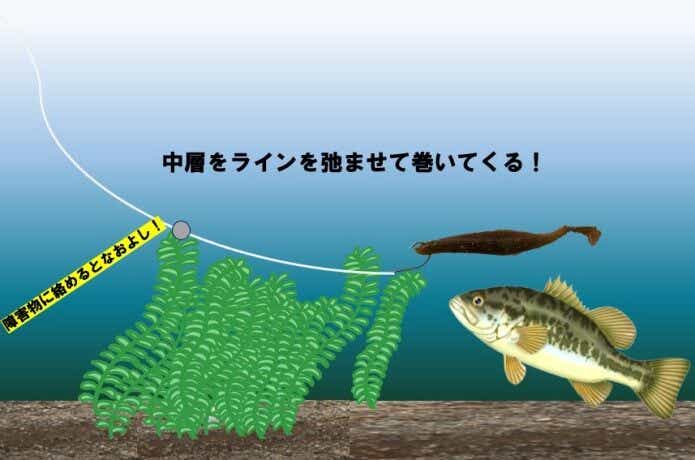 スプリットショットリグのテクニク