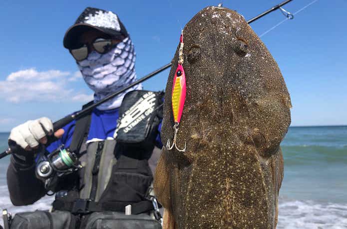 マゴチの釣果