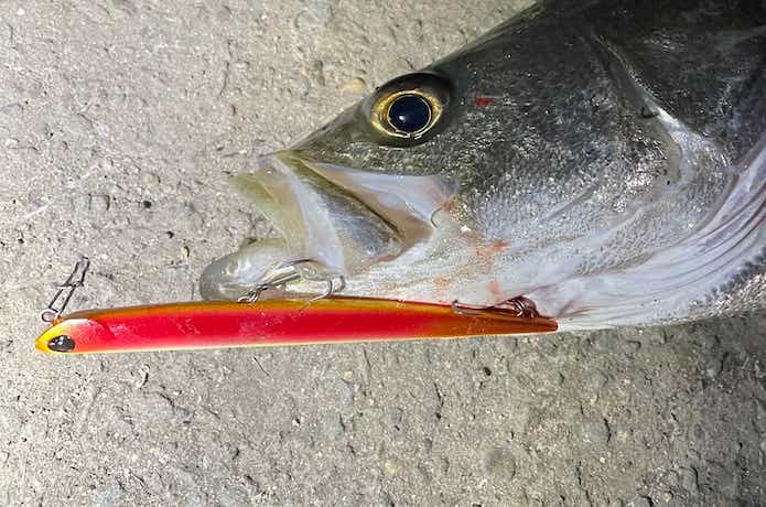 バチ抜けのド定番】マニックをインプレ！タイトロールと引き波が釣れる