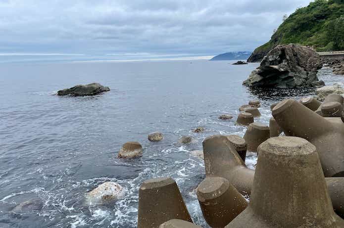 キジハタのワーム釣りの画像