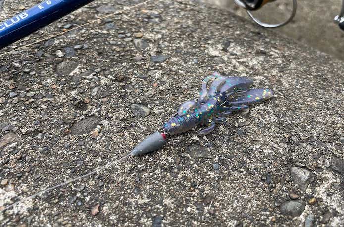 キジハタのワーム釣りの画像