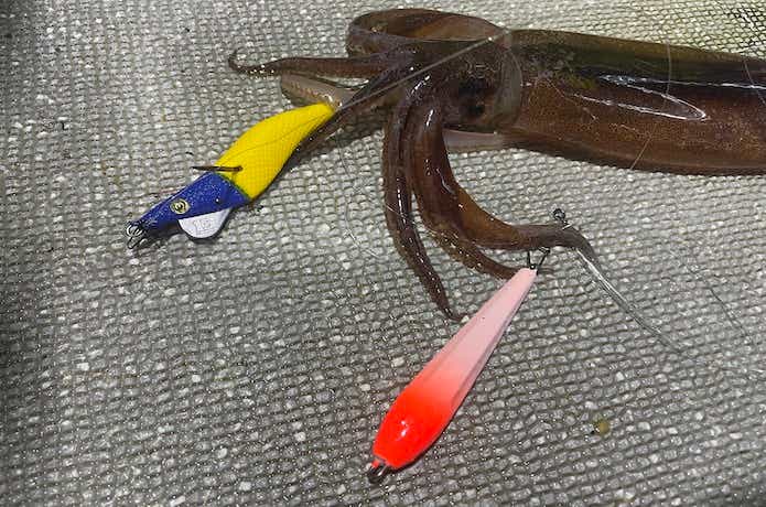 オモリグの画像