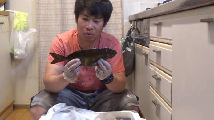 アイゴの食べ方