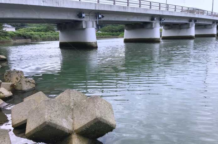 河口の釣り