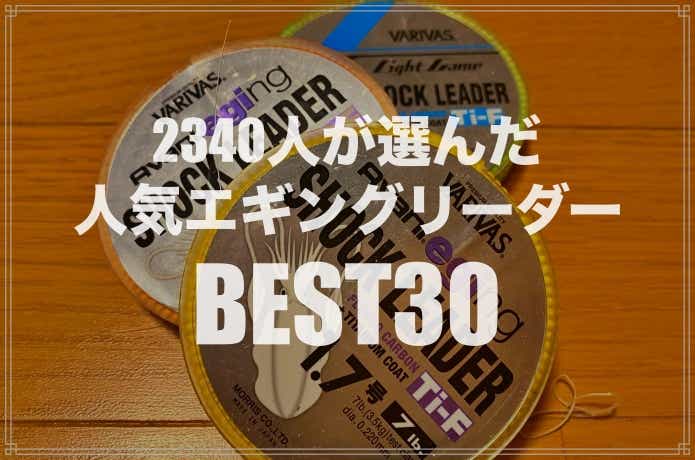 おすすめエギング用リーダーBEST30！太さや長さなど選び方も解説 TSURI HACK[釣りハック]