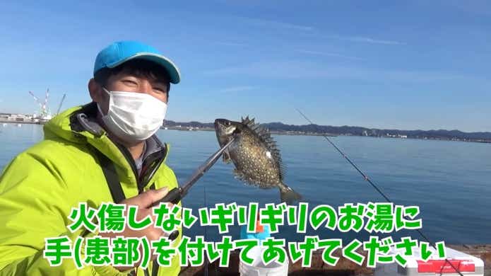 アイゴの毒の対処法