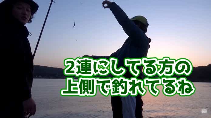 2連サビキ 釣果