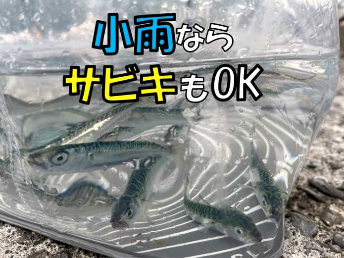 梅雨　釣り
