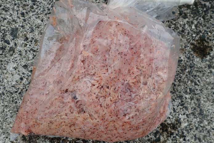 サビキ釣り　コマセ