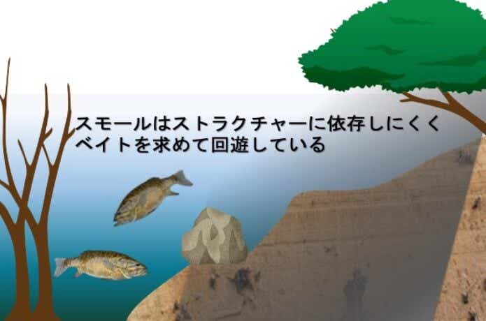 スモールマウスバス　回遊