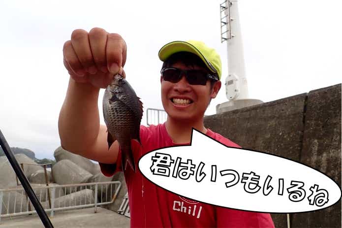 スズメダイ　サビキ釣り
