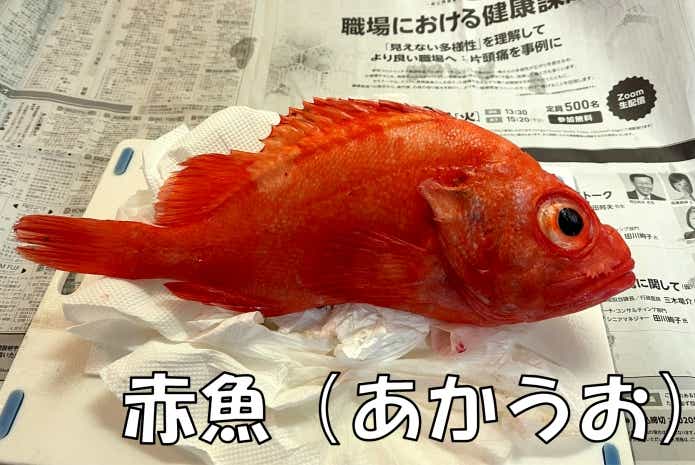赤魚　とは