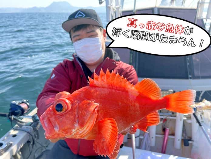 赤魚