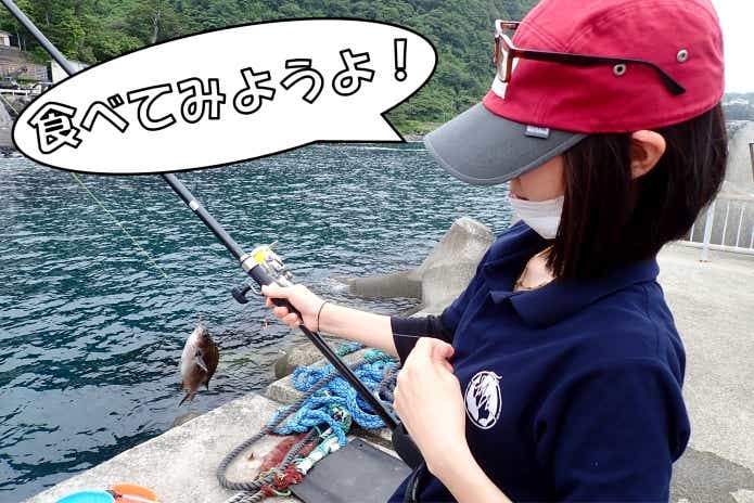スズメダイ　食べてみる
